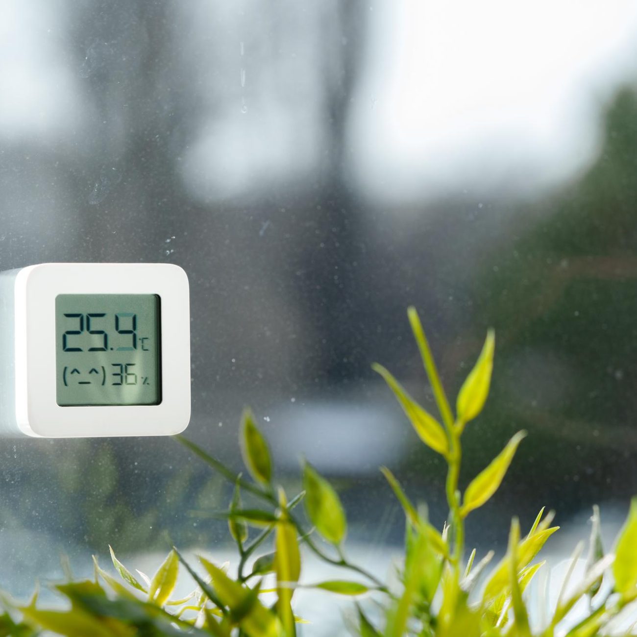 Controlling Humidity to Prevent Mold Growth