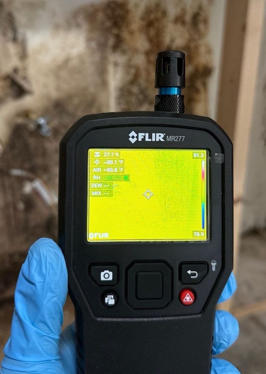 How to Choose the Best Mold Inspection Service in Central Florida