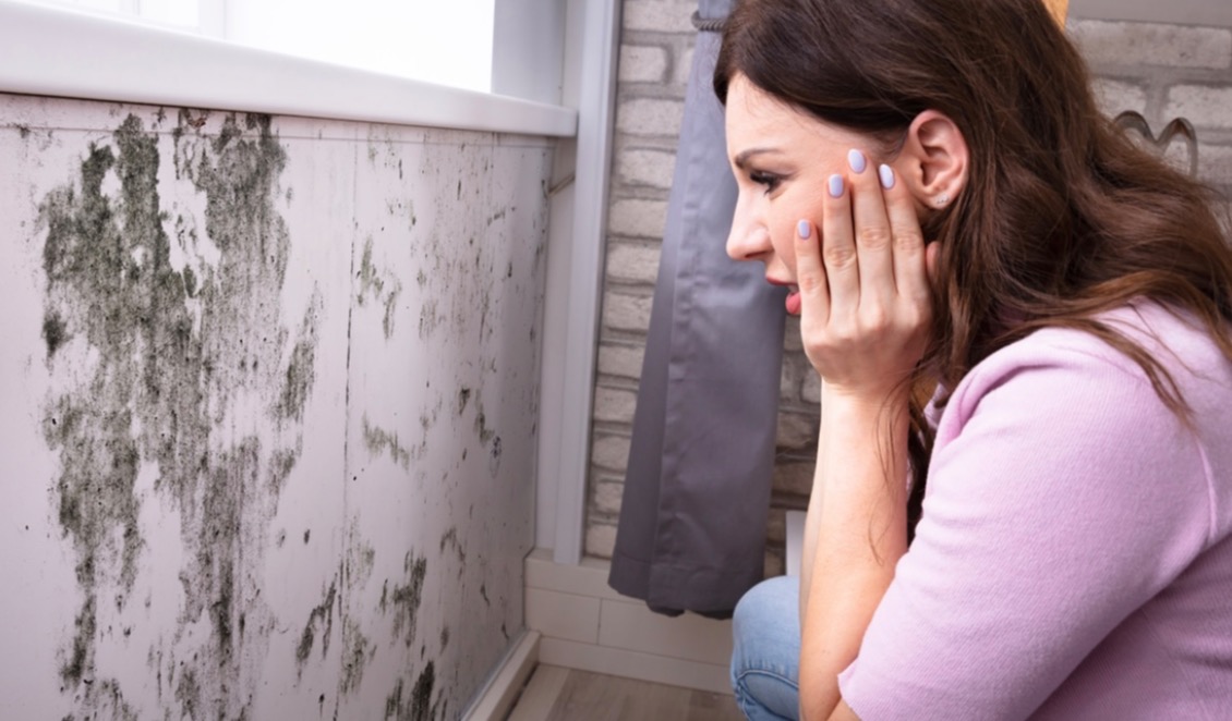 Mold Warning Signs: From AC Vent Stains to Allergy Symptoms