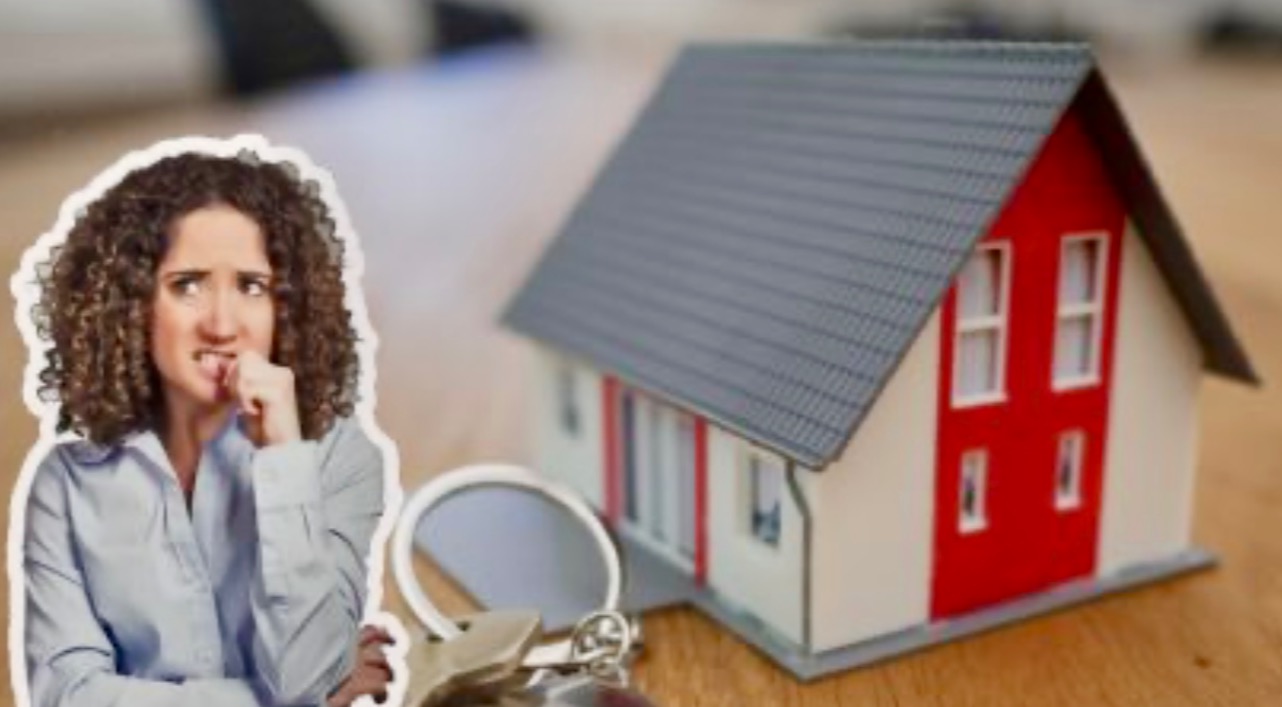 The Importance of Checking for Hidden Mold When Renting a Property