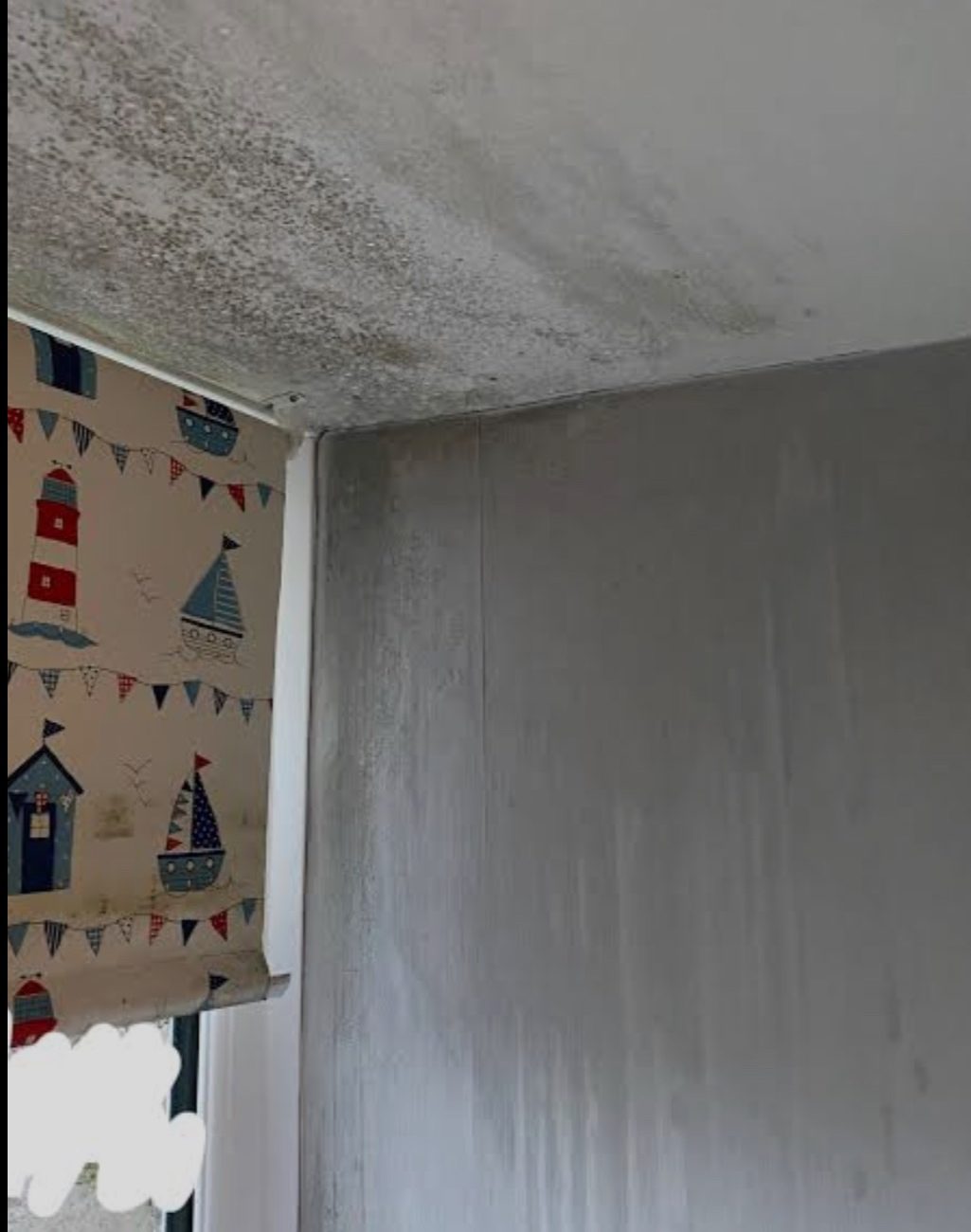 Top Causes of Home Humidity Increase and Mold Growth