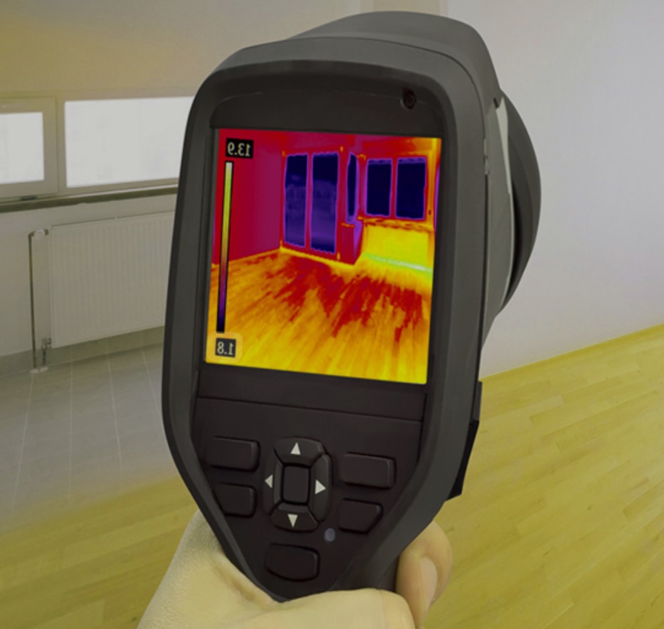 Mold Inspection Basics: What to Check and Equipment Needed