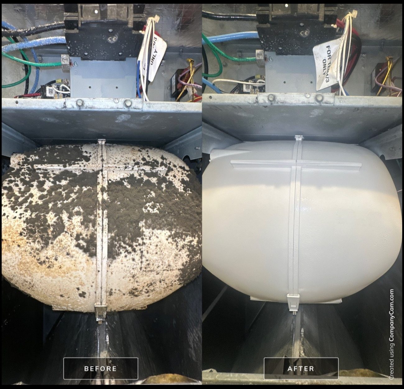 Choosing Between A/C and Mold Technicians