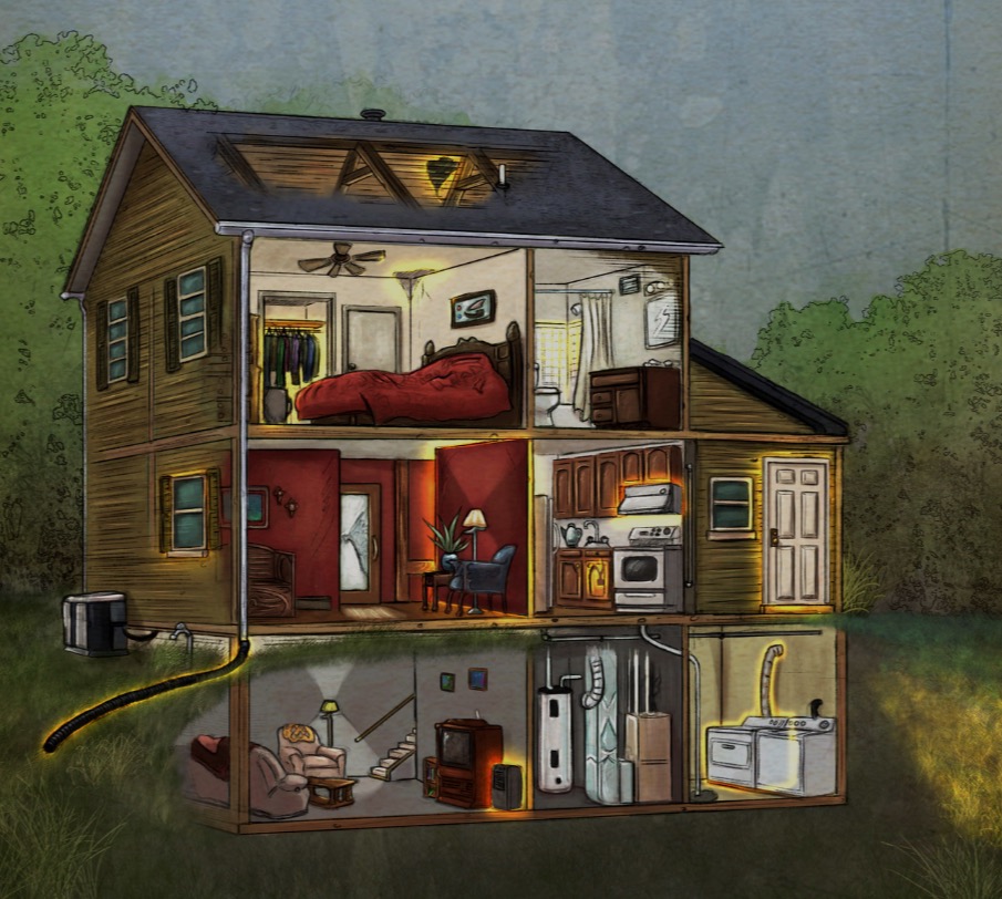 Discover Mold Inspection Benefits