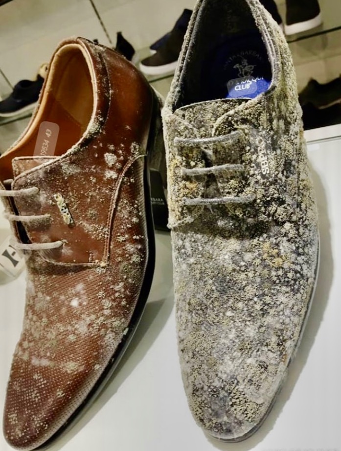 Protect Your Brand Clothes and Shoes from Mold Damage