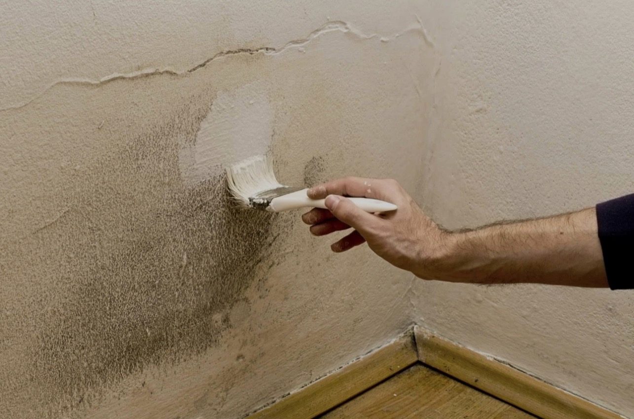 Mistakes that worsen the Mold problem