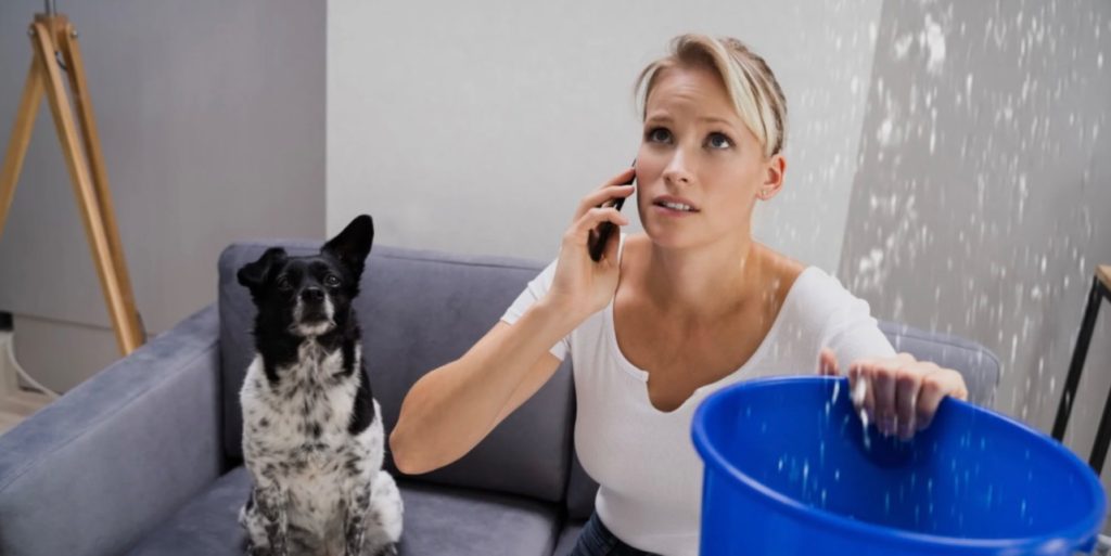 Professional mold inspection and remediation service in Kissimmee, FL